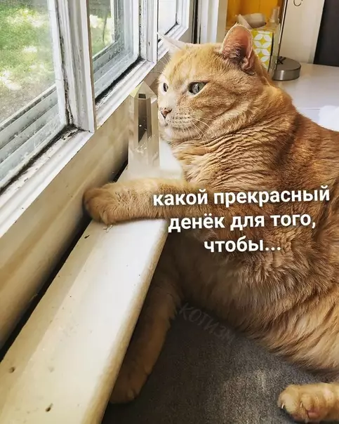 Смешная картинка №511138 Слишком про меня