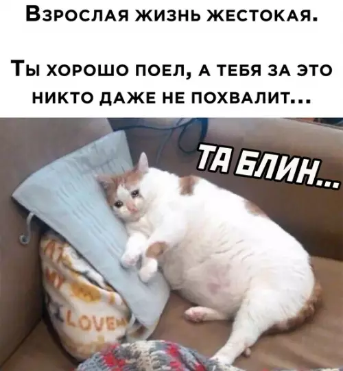 Смешная картинка №595607