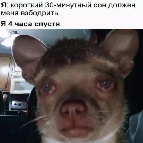 Смешная картинка №565262
