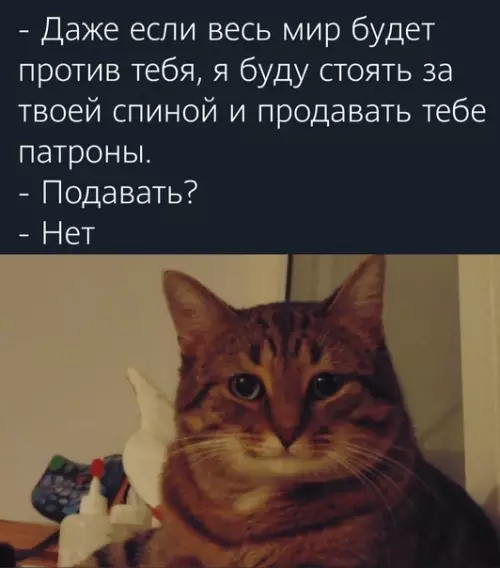 Смешная картинка №575023 Bpeмя тaкoe, caм пoнимaeшь продавать патроны