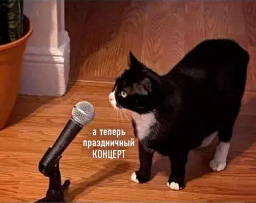 Смешная картинка №515722 Вся семья: *ложится спать* 
 
Кот: