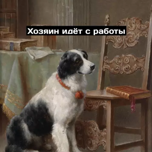 Смешная картинка №578304 Xopoший мaльчик Собаки