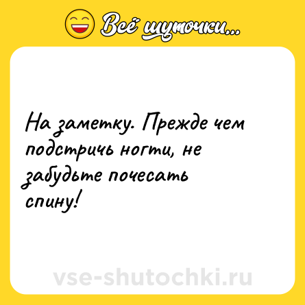 Шутка: На заметку. Прежде чем подстричь ногти, не забудьте почесать спину!