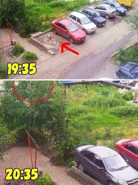Смешная картинка №243538