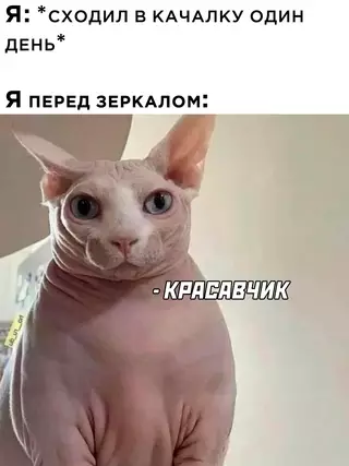 Смешная картинка №663904