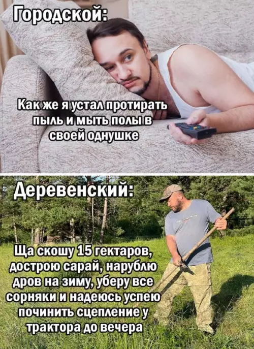 Город vs Деревня: выбери свой уровень стресса 😂 - Городской: Как же я устал протирать пыль и мыть полы