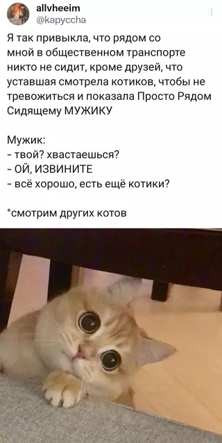 Смешная картинка №712862