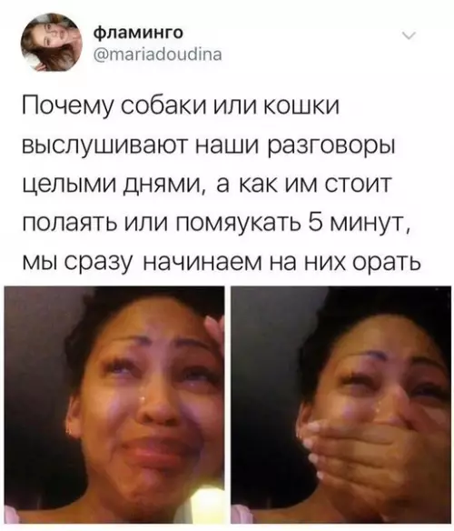 Смешная картинка №226936