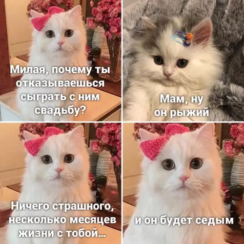 Смешная картинка №654939