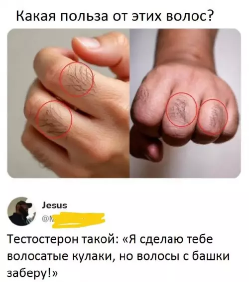 Тестостерон — тот еще пранкер 😂 - Какая польза от этих волос? Тестостерон такой: Я сделаю тебе