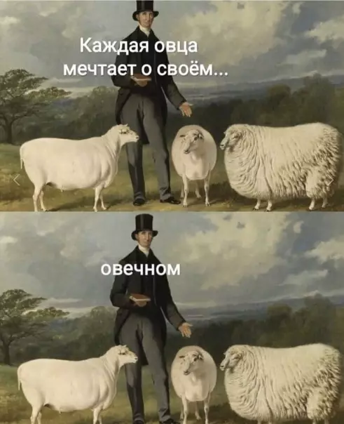 Смешная картинка №571222 Овечий юмор.