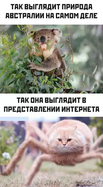 Смешная картинка №534059