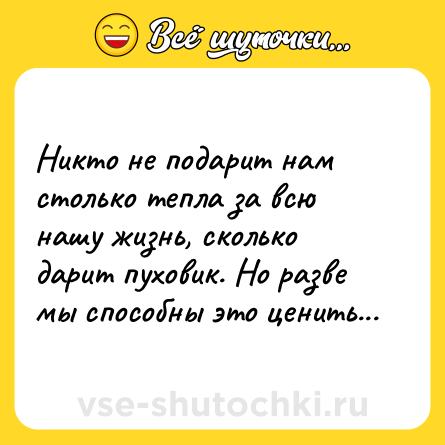 Шутка: Никто не подарит нам столько тепла за всю нашу жизнь, сколько дарит пуховик. Но разве мы способны это ценить...