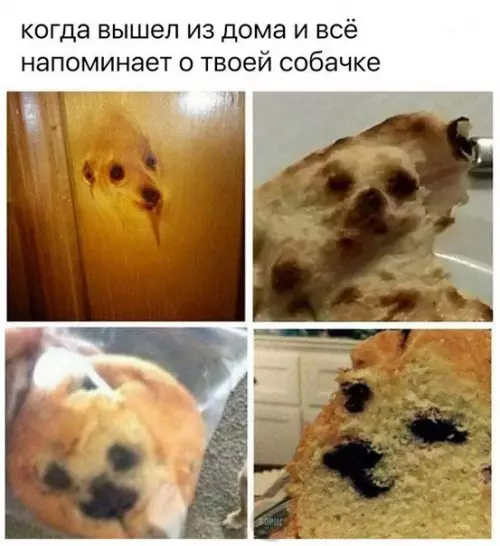 Смешная картинка №248181