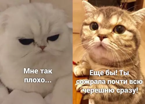 Смешная картинка №503661