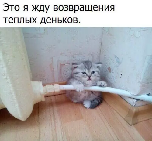 Смешная картинка №243313