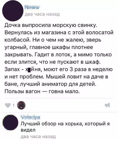 Смешная картинка №280365