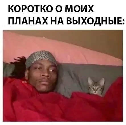 Смешная картинка №290537
