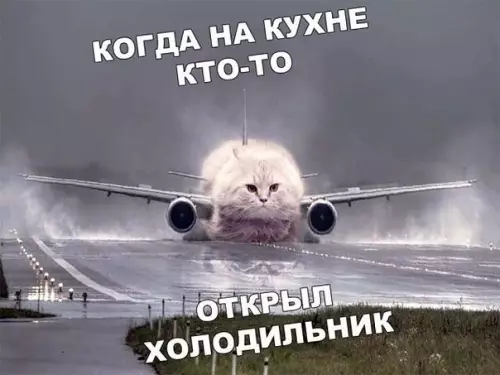 Смешная картинка №385862