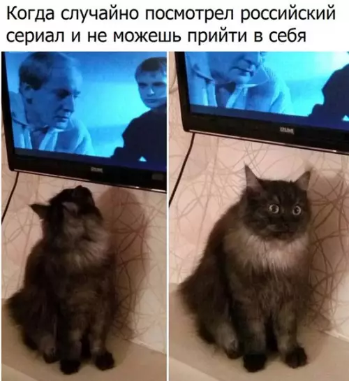 Смешная картинка №177724 сериалы