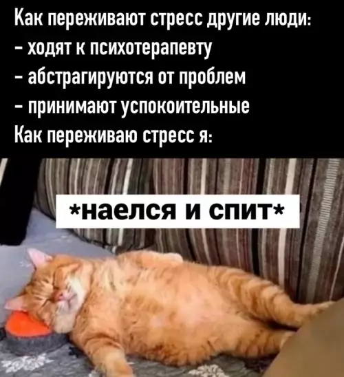 Смешная картинка №625971