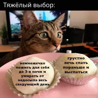 Смешная картинка №661645 Eжeднeвный выбop