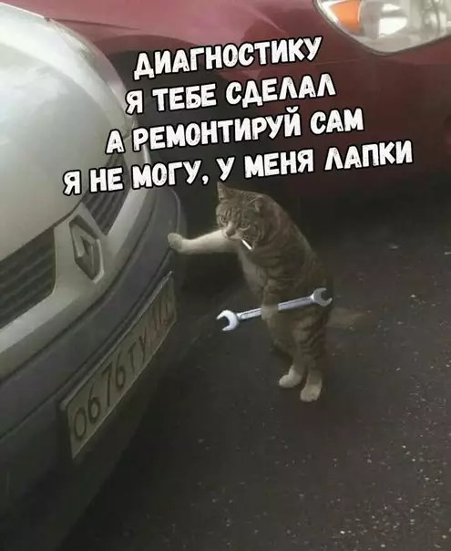 Смешная картинка №218594