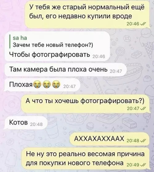 продолжение Смешная картинка №724509 Весомый аргумент  Переписка