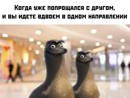 Смешная картинка №457529