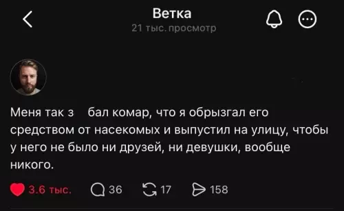 Месть комару вышла на новый уровень! 😂🦟 - Меня так з а л комар, что я обрызгал его