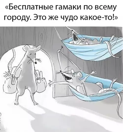 Смешная картинка №494963
