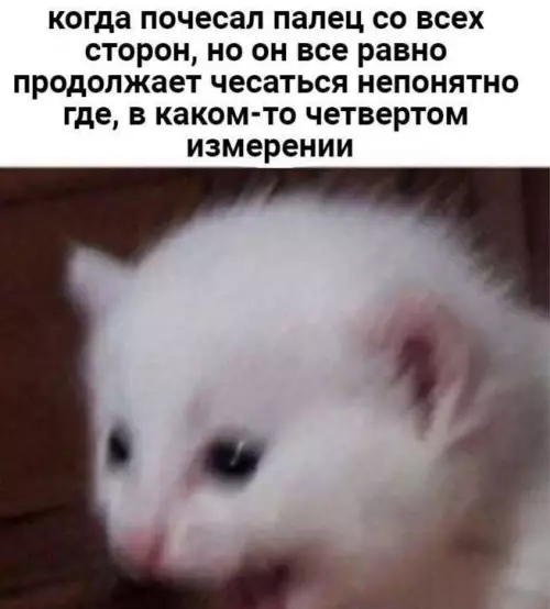 Смешная картинка №773347
