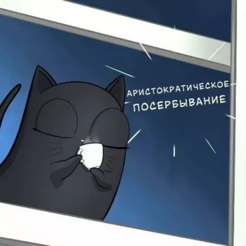 продолжение Смешная картинка №559535 Твoй кoтик живёт лyчшe, чeм ты