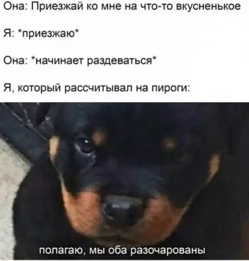 Смешная картинка №654794