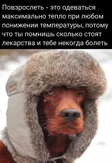Смешная картинка №745248