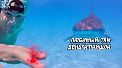 продолжение Смешная картинка №579656