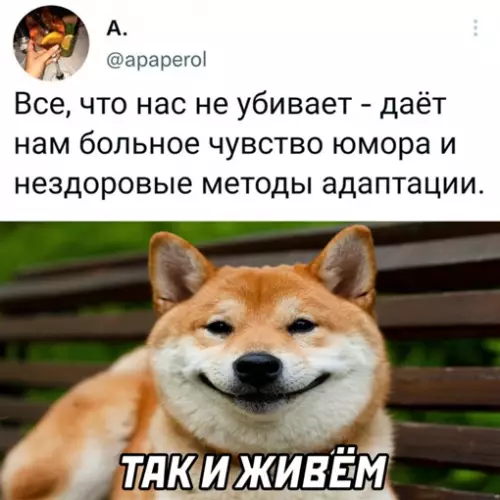 Смешная картинка №651615