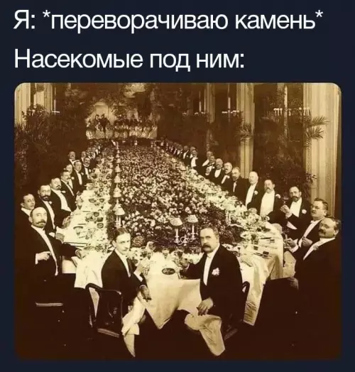Смешная картинка №670053