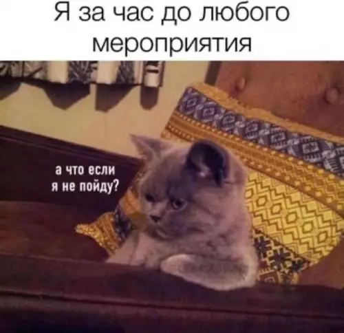 Смешная картинка №705928