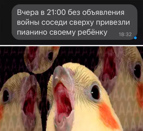 Смешная картинка №649209