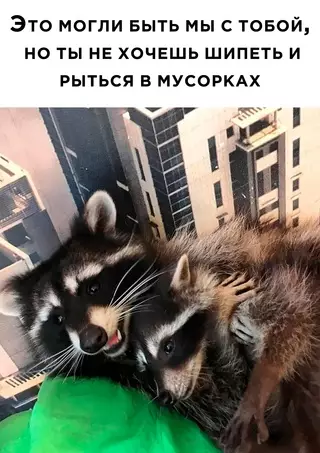 Смешная картинка №680997