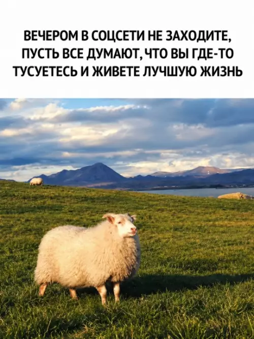 Как создать интригу в соцсетях 🐑✨ - ВЕЧЕРОМ В СОЦСЕТИ НЕ ЗАХОДИТЕ, ПУСТЬ ВСЕ ДУМАЮТ, ЧТО ВЫ