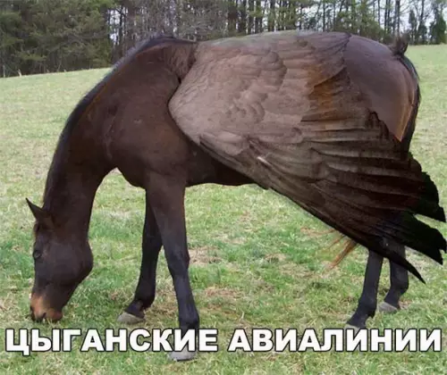 Смешная картинка №187743