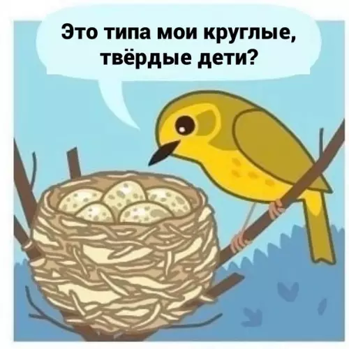 продолжение Смешная картинка №578463