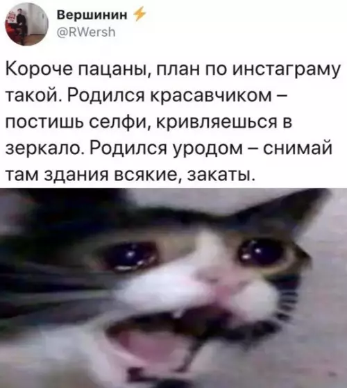 Смешная картинка №393382