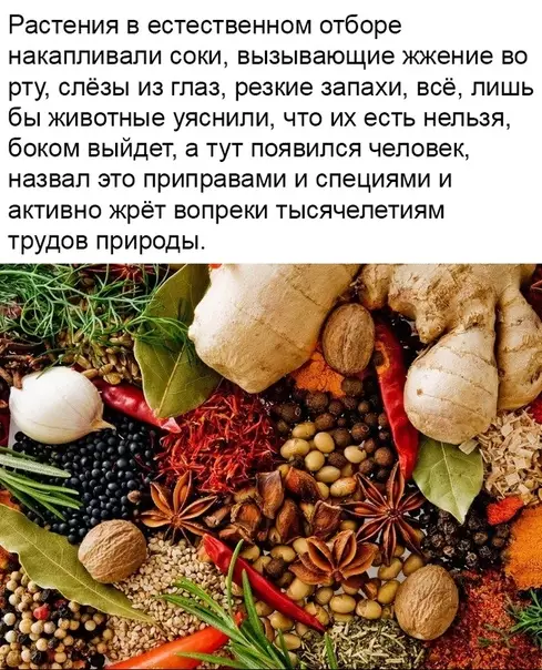 Смешная картинка №341683