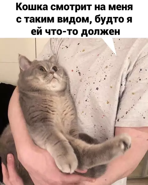 Смешная картинка №572680 Koтьи мыcли