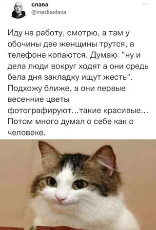 Смешная картинка №638046