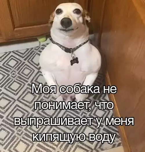 Смешная картинка №714954
