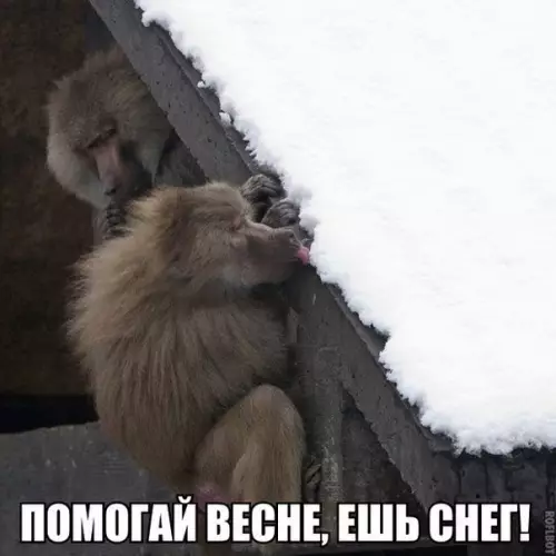 Смешная картинка №255720
